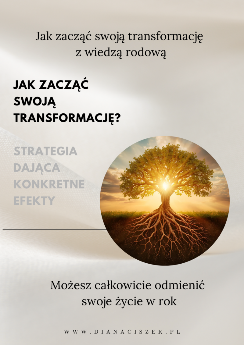 Strategia Transformacji za 0 zł